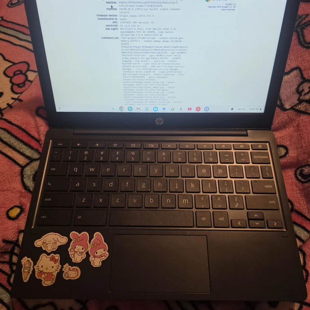 HP Chromebook with Cat and Avocado Sticker